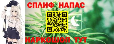 дмт Новокубанск